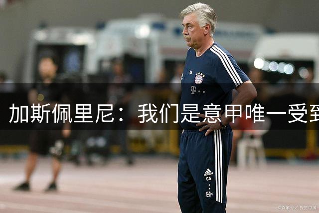 加斯佩里尼：我们是意甲唯一受到欧足联FFP影响的球队