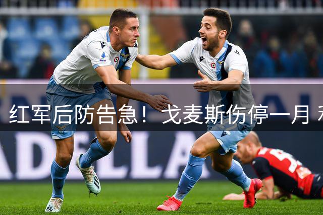 红军后防告急！戈麦斯伤停一月 利物浦新赛季防线面临大考